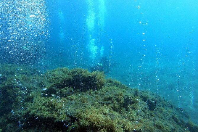 double-scuba-diving