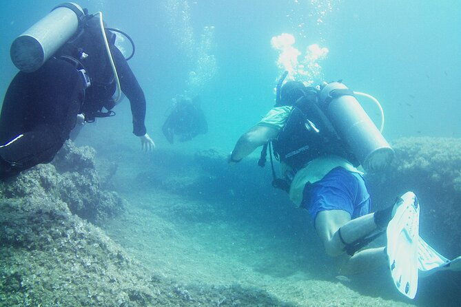 double-shore-dive-certified-divers