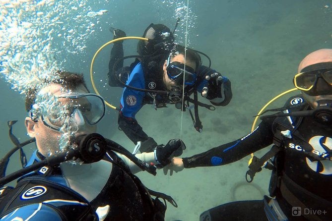 double-shore-dive-certified-divers