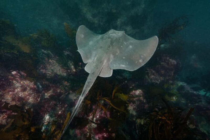 Double Shore Dive with Equipment - Key Points