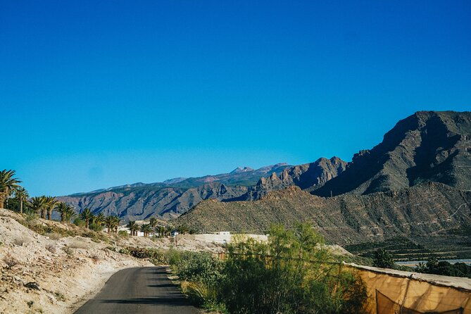 double-tuk-tuk-tour-in-costa-adeje