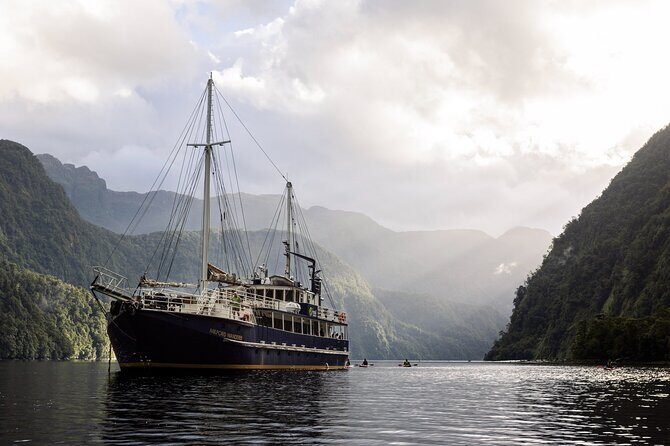Doubtful Sound Overnight Cruise - The Main Cruise: Exploring Doubtful Sound