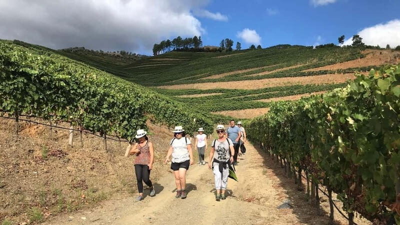 Douro: Adventure Ride with Walk and Local Lunch - Starting Point and First Impressions