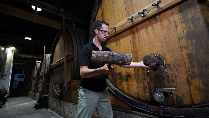 douro-classic-wine-tasting-with-guided-tour
