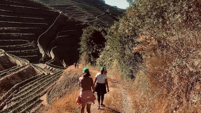 Douro: exclusive experience to Niepoort with paired lunch - Final Thoughts