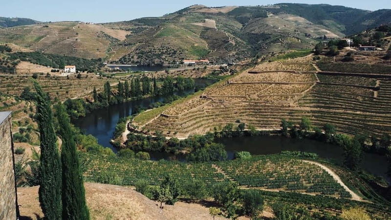 Douro: exclusive experience to Niepoort with paired lunch - FAQ