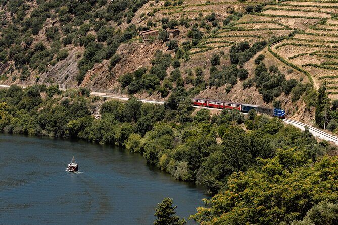 Douro Experience - Boat and Train Ride - Lunch and Wine Tasting - All Included - An In-Depth Look at the Douro Experience Tour