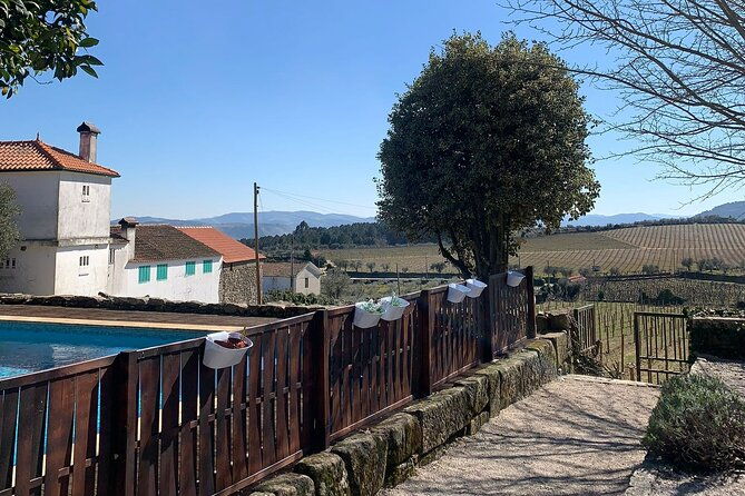 douro-full-day-tour-with-wine-tasting-and-lunch