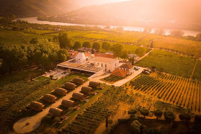 douro-luxury-walking-tour-with-full-lunch-at-quinta-da-pacheca