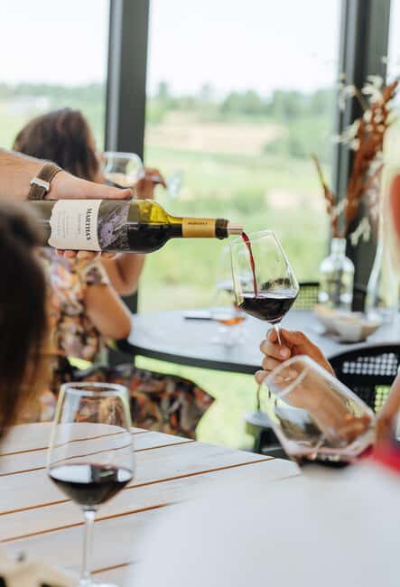 Douro: Martha's Selection - Premium Wine Tour and Tasting - Key Points