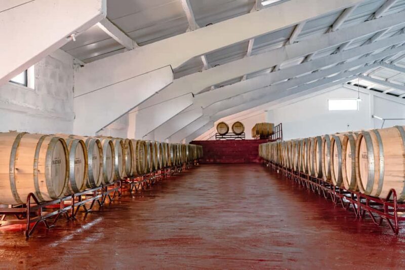 Douro: Martha's Selection - Premium Wine Tour and Tasting - Why Choose Marthas Selection?