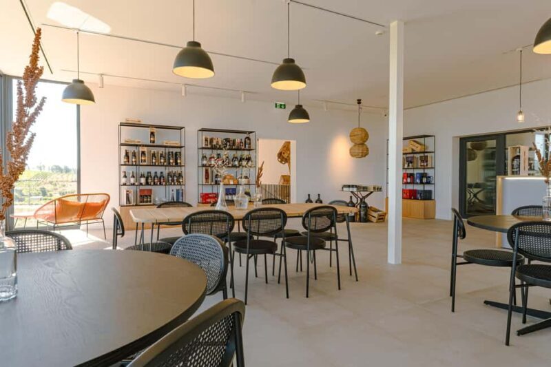 Douro: Martha's Welcome - Wine Tour and Tasting - Discovering the Douro with Martha’s Wines & Spirits