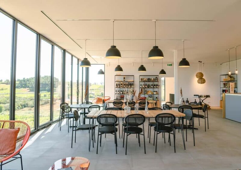 Douro: Martha's Welcome - Wine Tour and Tasting - FAQs