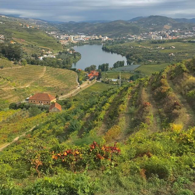 douro-pacheca-luxury-walking-with-full-lunch-and-wines