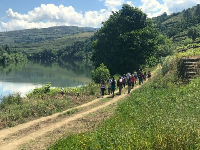 douro-pacheca-luxury-walking-with-full-lunch-and-wines