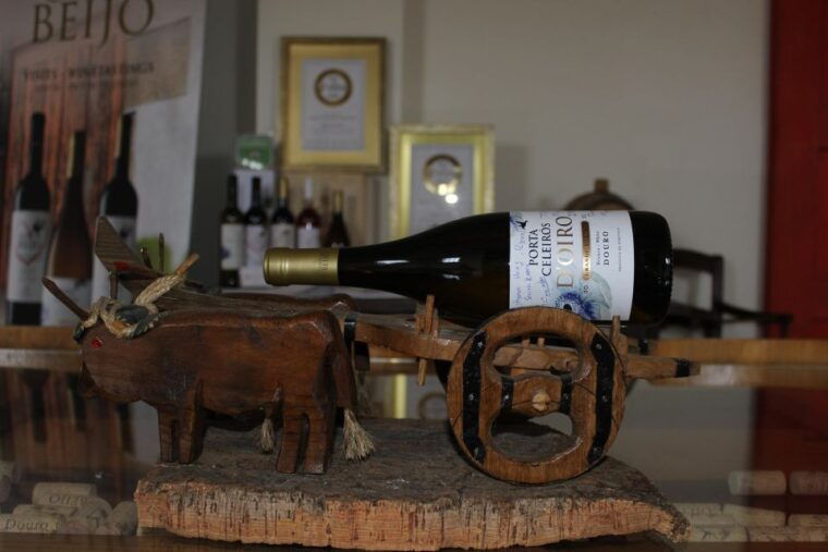 douro-porto-wine-tasting-with-guided-tour