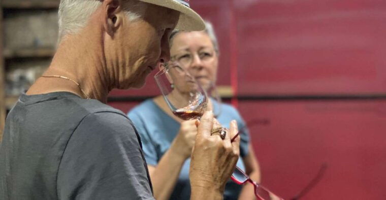 douro-porto-wine-tasting-with-guided-tour