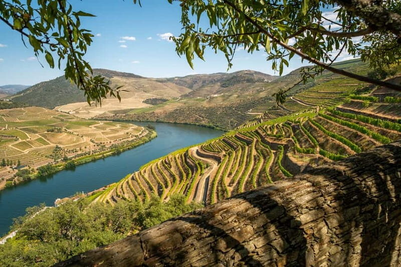 Douro Private Tour  Customizable Experience - Visiting Authentic Douro Villages and Local Estates  