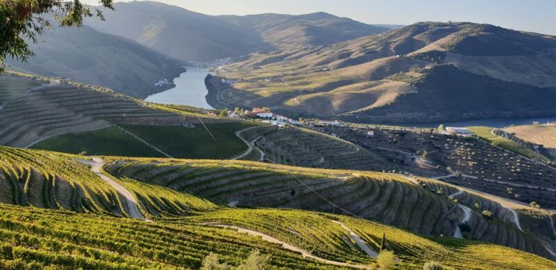 Douro Private Tour  Customizable Experience - Practical Details and Value for Money  