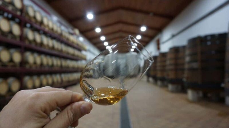 Douro: Quinta Levandeira do Roncão Tour & Wine Tasting - Authenticity and Personal Touch  