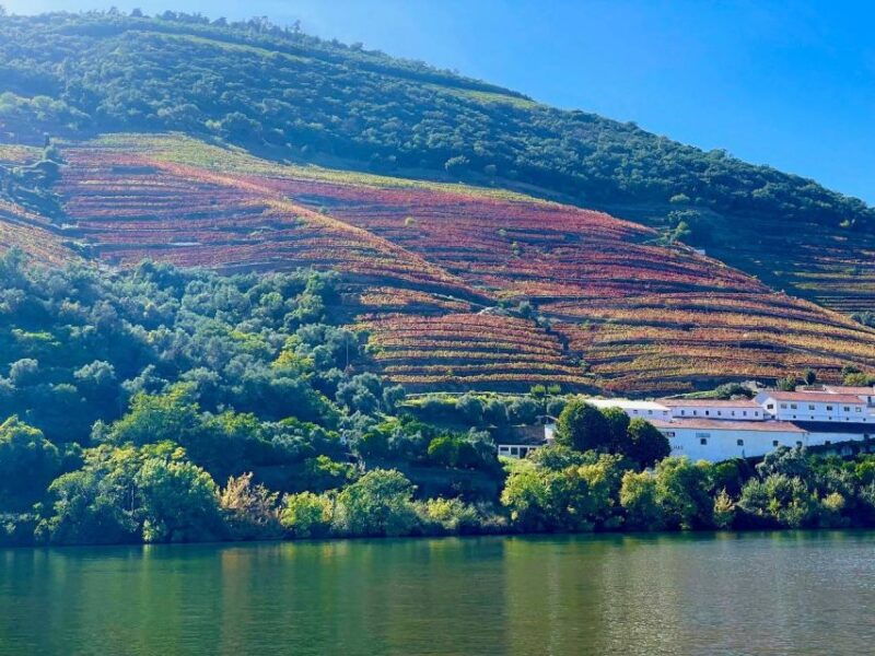 douro-river-private-cruise