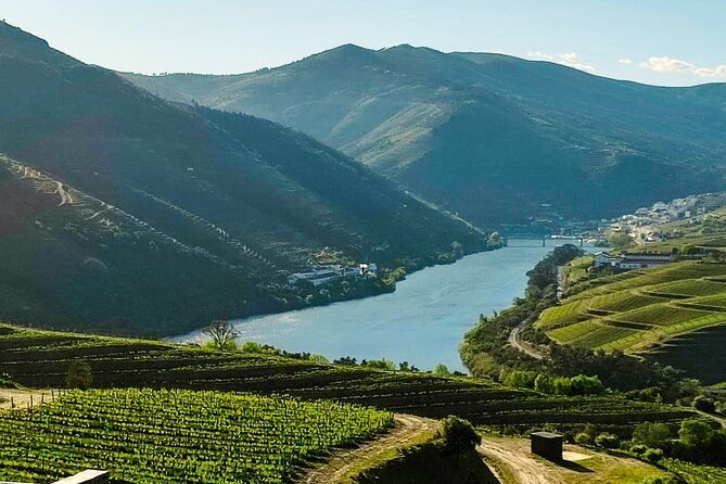 douro-roots-history-tour-with-a-local