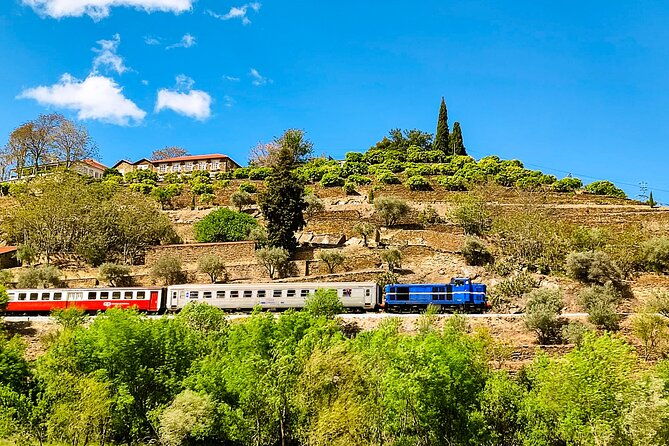 douro-roots-history-tour-with-a-local