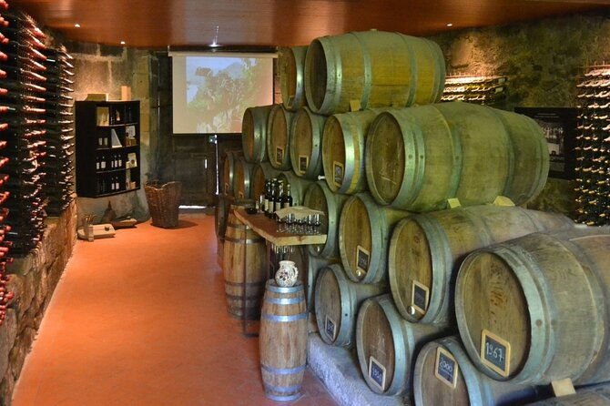douro-three-winery-small-group-tour-with-lunch-and-tastings