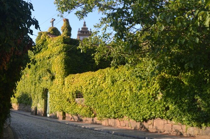 douro-three-winery-small-group-tour-with-lunch-and-tastings