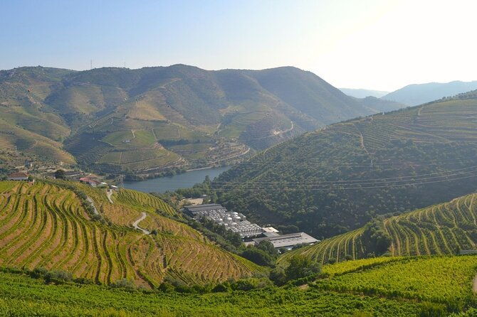 douro-three-winery-small-group-tour-with-lunch-and-tastings