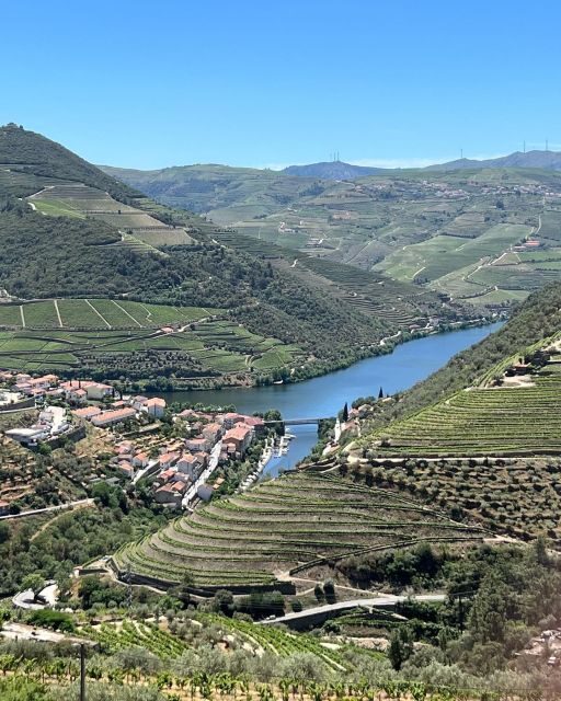 Douro Tour: Wine Tastings, Boat Ride & Manor House Lunch - Key Points