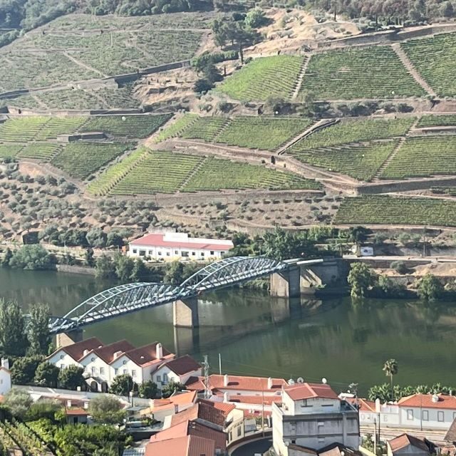 Douro Tour: Wine Tastings, Boat Ride & Manor House Lunch - Why This Tour Works for Different Travelers