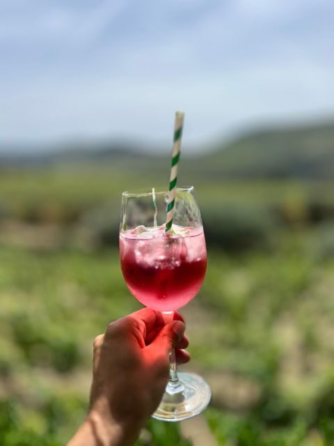 Douro Tour: Wine Tastings, Boat Ride & Manor House Lunch - Final Thoughts
