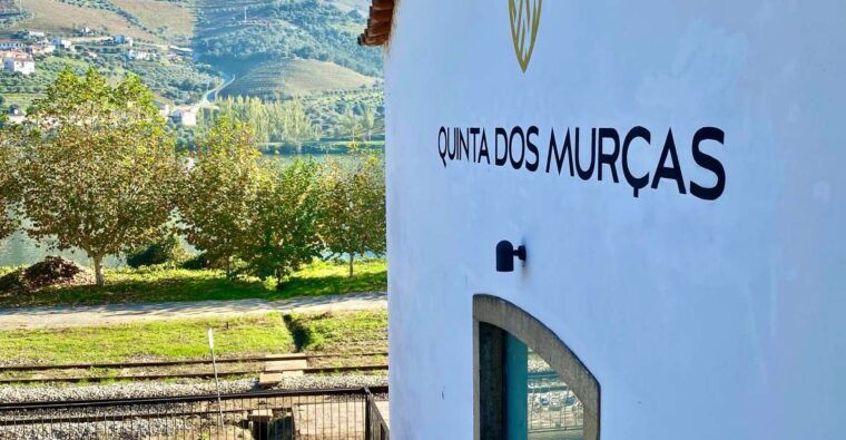 douro-tour-with-train-walking-picnic-and-wines