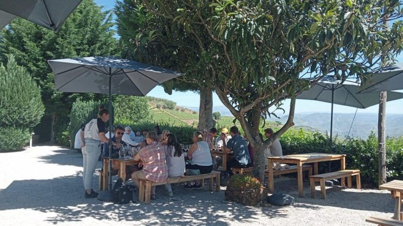 douro-tour-with-wine-tasting-and-visit-to-lamego-and-pinhao