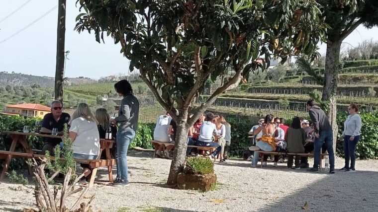 douro-tour-with-wine-tasting-and-visit-to-lamego-and-pinhao