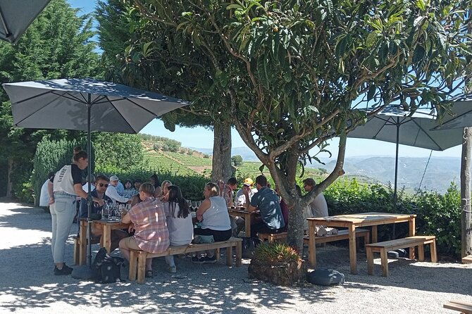 douro-tour-with-wine-tasting-river-cruise-and-visit-to-lamego