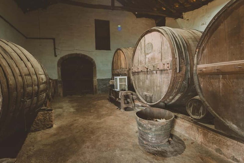 Douro: Traditional Harvest Lunch at Quinta de Sobre a Fonte - Douro: Traditional Harvest Lunch at Quinta de Sobre a Fonte