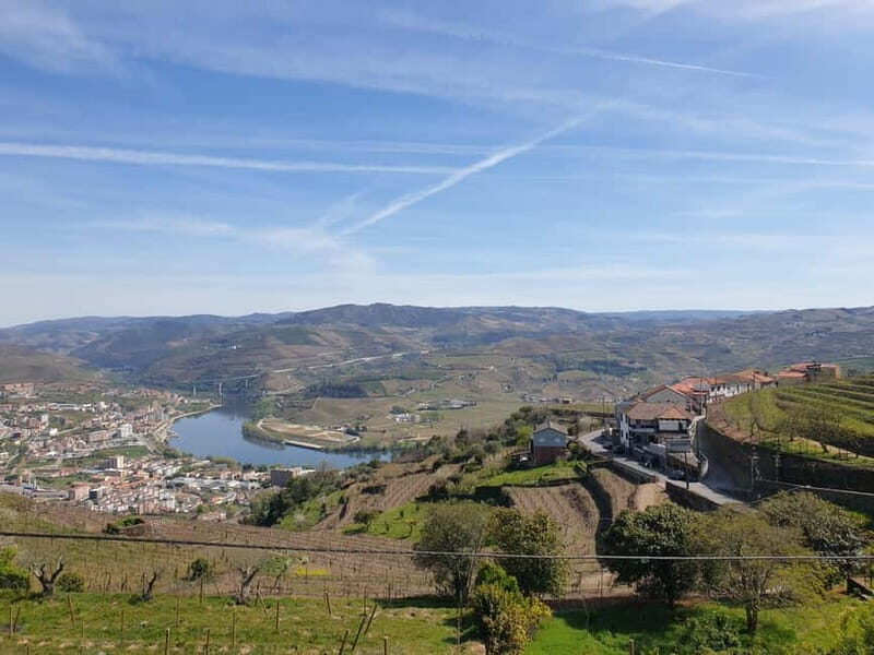 Douro: Traditional Harvest Lunch at Quinta de Sobre a Fonte - Who Is This Tour Best For?