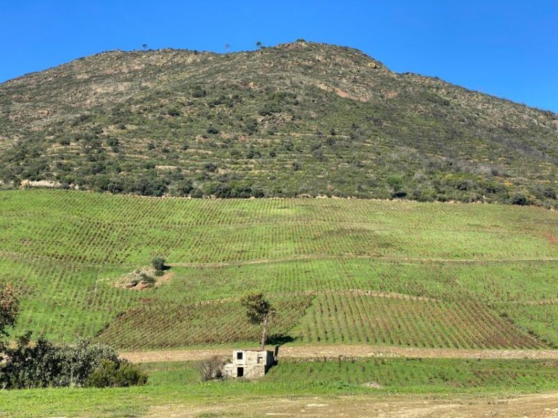 Douro triathlon from Porto - car, walk and train - Key Points