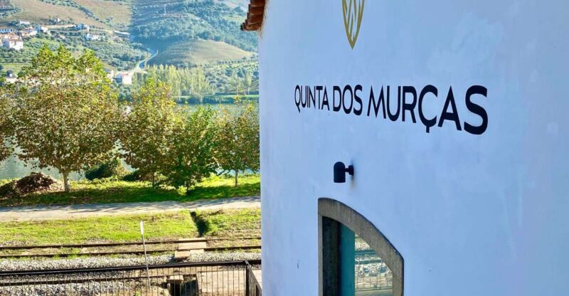 Douro triathlon from Porto - car, walk and train - FAQ
