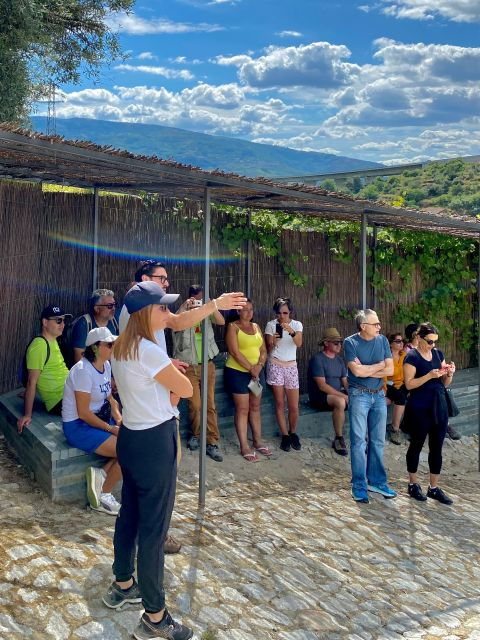 douro-vallado-luxury-walking-picnic-and-wine-tasting