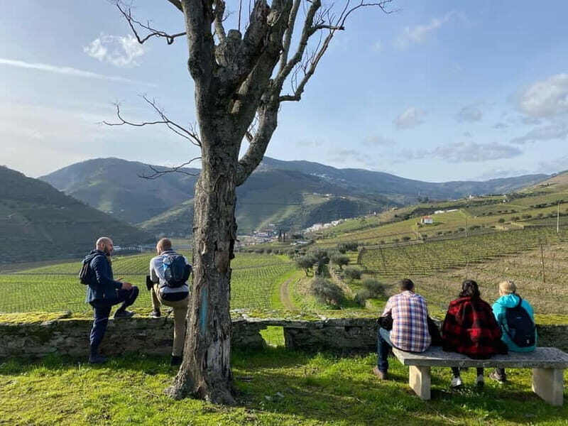 Douro valley: 10 km hike in the Valley - The Sum Up: Who Should Consider This Tour?