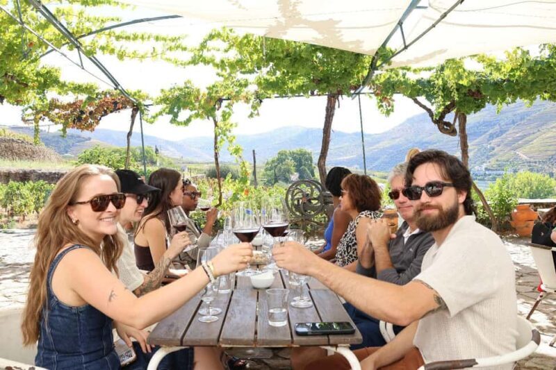 Douro valley: 2 Wineries Lunch at the Winery & 1h Boat Tour - Exploring the Itinerary in Detail