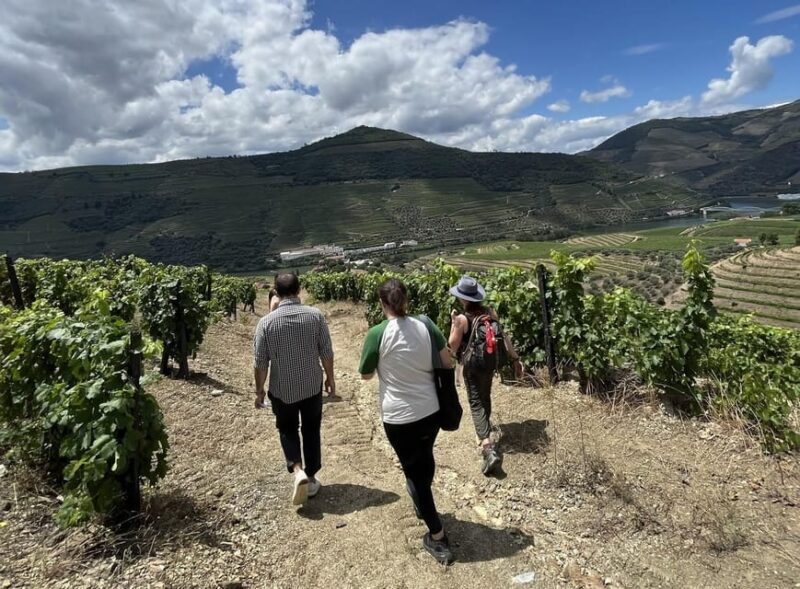 Douro valley: 2 Wineries Lunch at the Winery & 1h Boat Tour - Final Thoughts