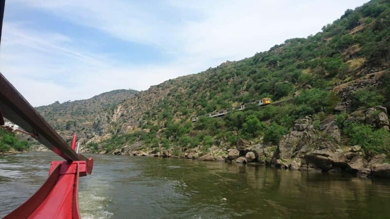 Douro Valley: 2 Wineries, Lunch & Boat - A Complete Breakdown of the Douro Valley Tour