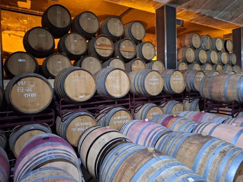 Douro Valley: 2 Wineries, Lunch & Boat - What You Can Expect: Practical Details
