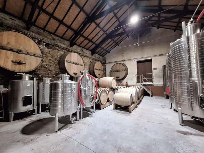 Douro Valley: 2 Wineries, Lunch & Boat - Who Should Consider This Tour?