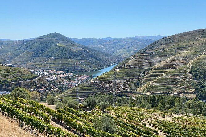 douro-valley-3-wine-experiences-with-lunch-optional-boat-cruise