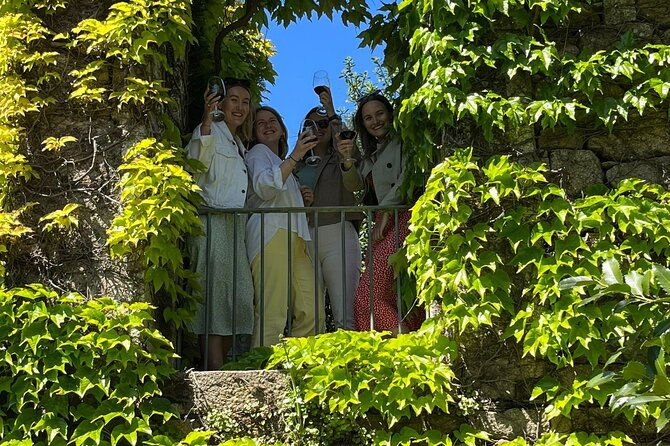 douro-valley-3-wine-experiences-with-lunch-optional-boat-cruise